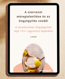 Belépő termék-12+1 lépés-tablet